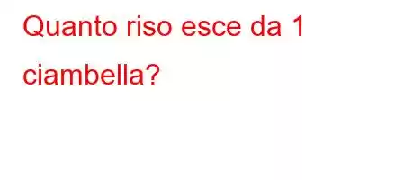 Quanto riso esce da 1 ciambella?