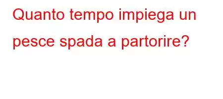 Quanto tempo impiega un pesce spada a partorire