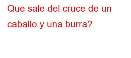 Que sale del cruce de un caballo y una burra