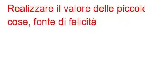 Realizzare il valore delle piccole cose, fonte di felicità