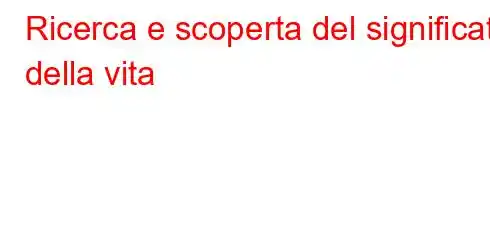 Ricerca e scoperta del significato della vita