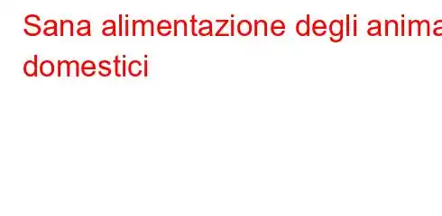 Sana alimentazione degli animali domestici