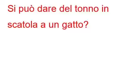 Si può dare del tonno in scatola a un gatto