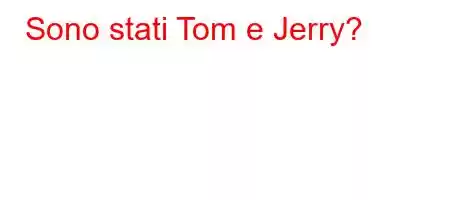 Sono stati Tom e Jerry?