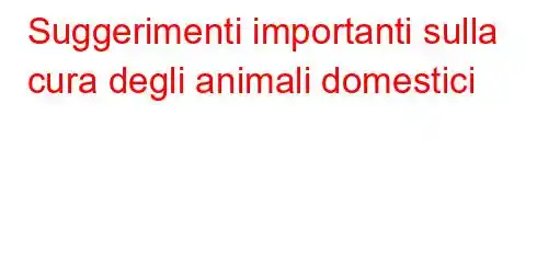 Suggerimenti importanti sulla cura degli animali domestici