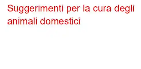 Suggerimenti per la cura degli animali domestici