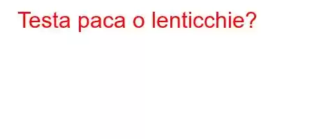 Testa paca o lenticchie