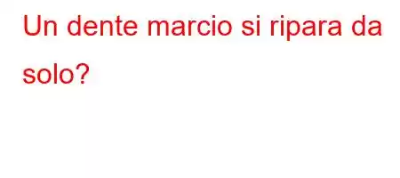 Un dente marcio si ripara da solo?