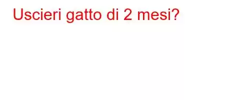 Uscieri gatto di 2 mesi